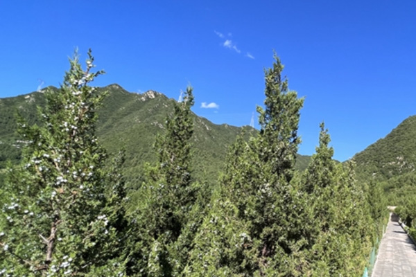 北京墓地风水大揭秘，论九星正变砂格歌